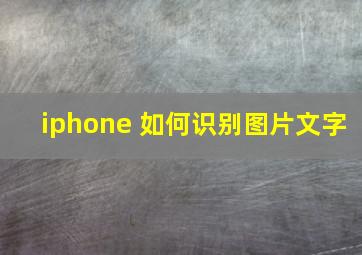 iphone 如何识别图片文字